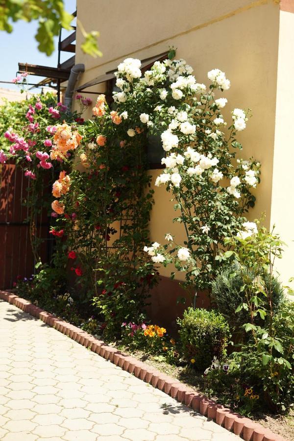 Casa Ciortea Ana Sibiel Exterior photo